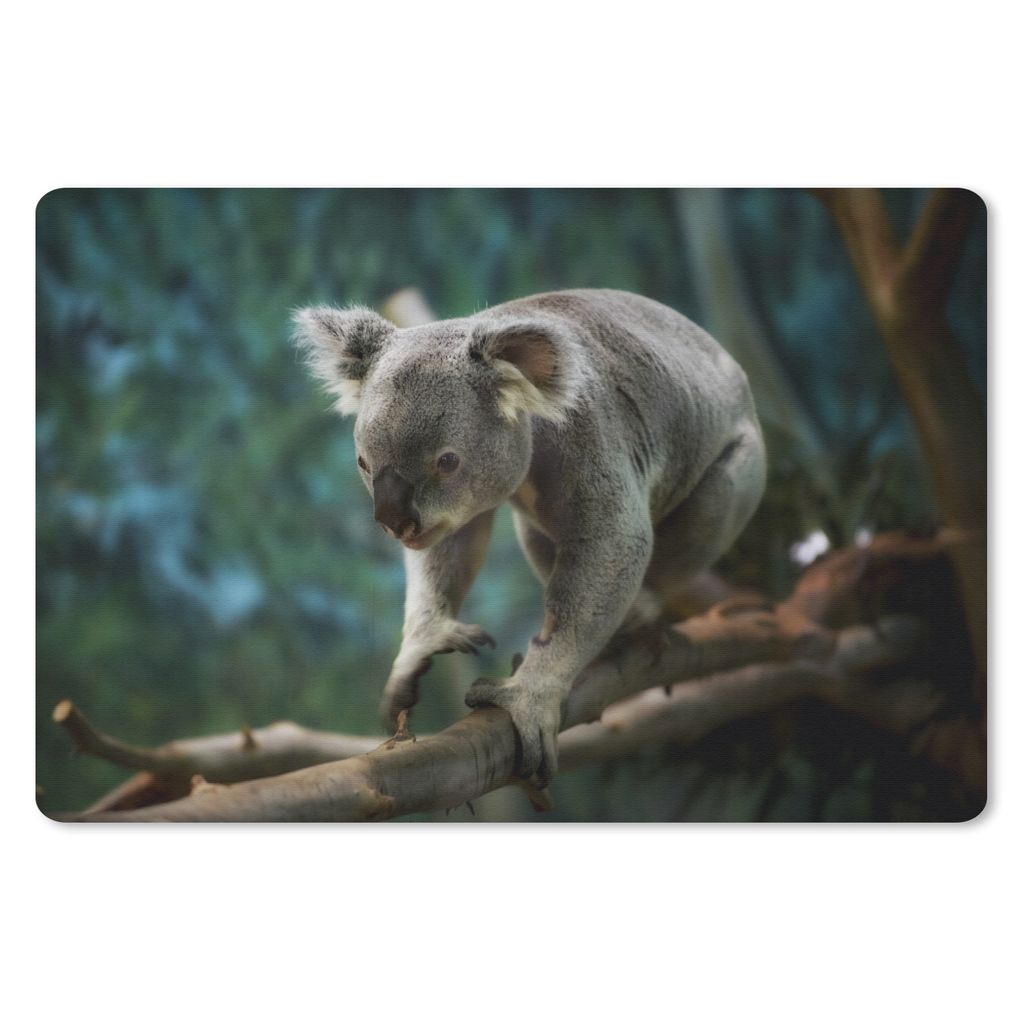 MuchoWow Schreibtischunterlage Koala - Baum - Äste - Kinder - Junge - Mädchen 60x40 cm - XXL Mauspad - Großes Mauspad