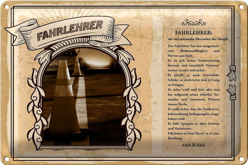 Blechschild Berufe 40x30cm Fahrlehrer Nerven aus Stahl