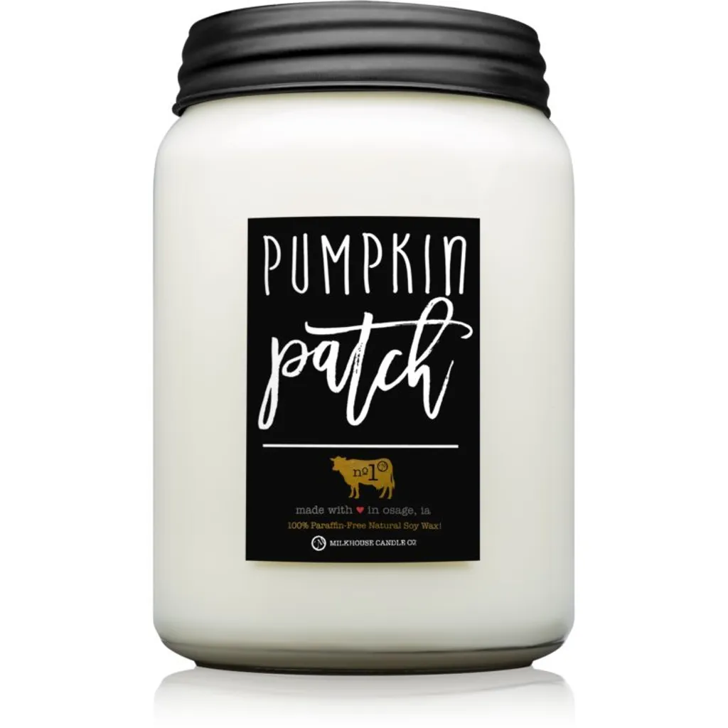 Bougie longue durée anti-odeurs sans paraffine Pumpkin Patch 737g