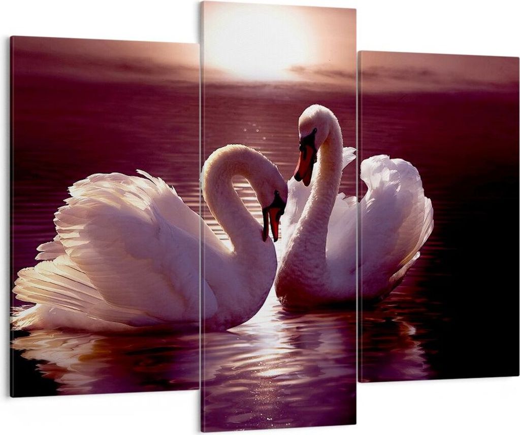 Bild auf Leinwand - Leinwandbild - Schwäne Landschaft Wasser - 130x100cm - Wand Bild - Wanddeko - Leinwanddruck - Bilder - Kunstdruck - Wanddekora...
