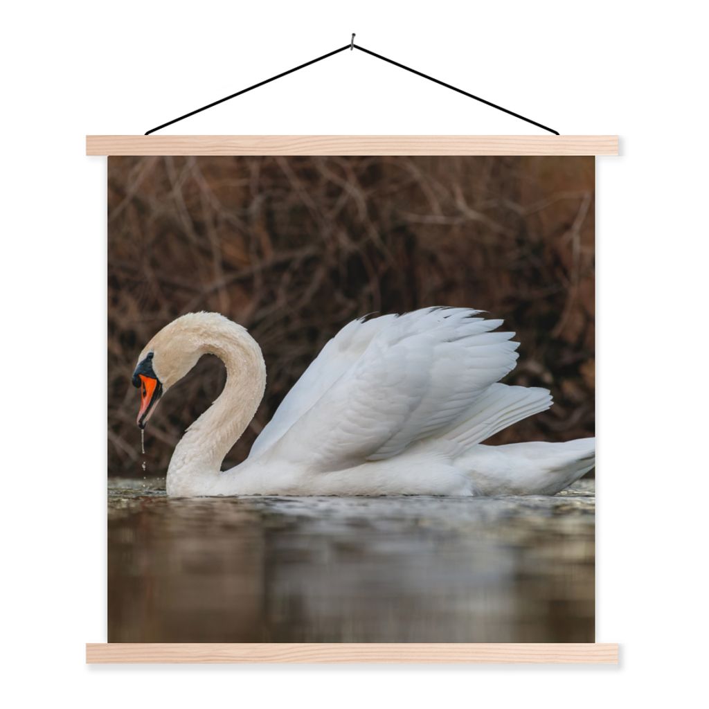 MuchoWow Textilposter Schwan - Wasser - Tiere - Vogel 120x120 cm mit holzfarbenen Rahmen - Textil-Poster