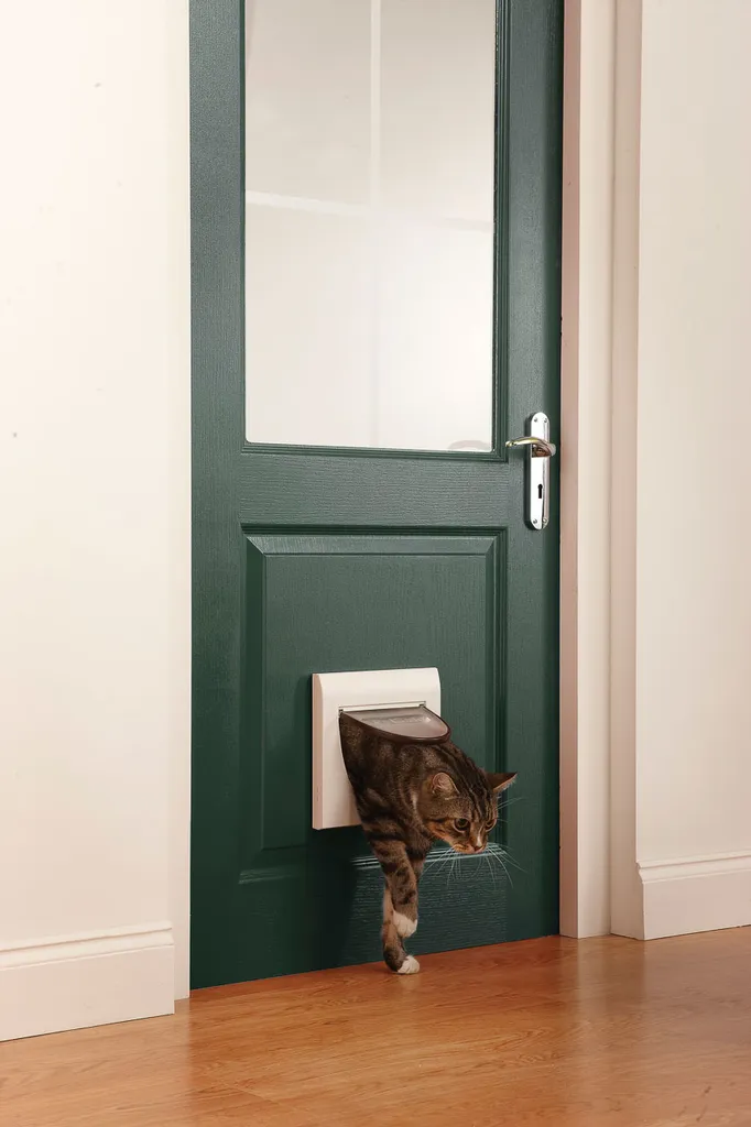 PetSafe 917 Gattaiola Economica 4 Vie: Il Miglior Rapporto Qualità/Prezzo - 3