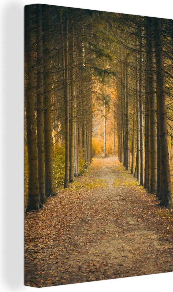 OneMillionCanvasses - Leinwandbilder - 90x140 cm, Pfad - Bäume - Wald, Wandbilder Kunstdruck Wanddekoration - Foto auf Leinwand - Gemälde auf H...