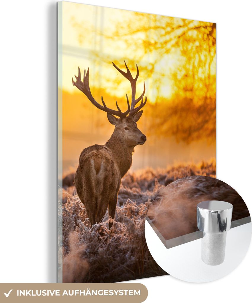 MuchoWow Glasbilder - Bilder auf Wandbild - Foto auf Glas Hirsche - Tiere - Sonnenuntergang - Winter - Heidekraut - Natur 30x40 cm Wanddekoration a...