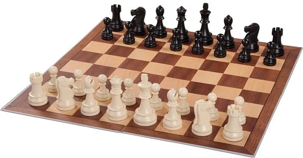 DGT Echecs Starter Box Gris - Apprenez les Échecs avec un Pack Complet