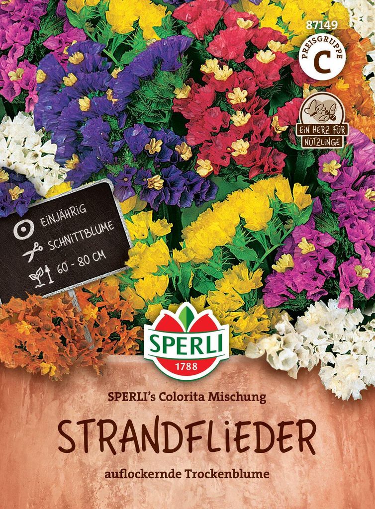 SPERLI Strandfliedersamen Colorita 50 Pflanzen Produktbild 