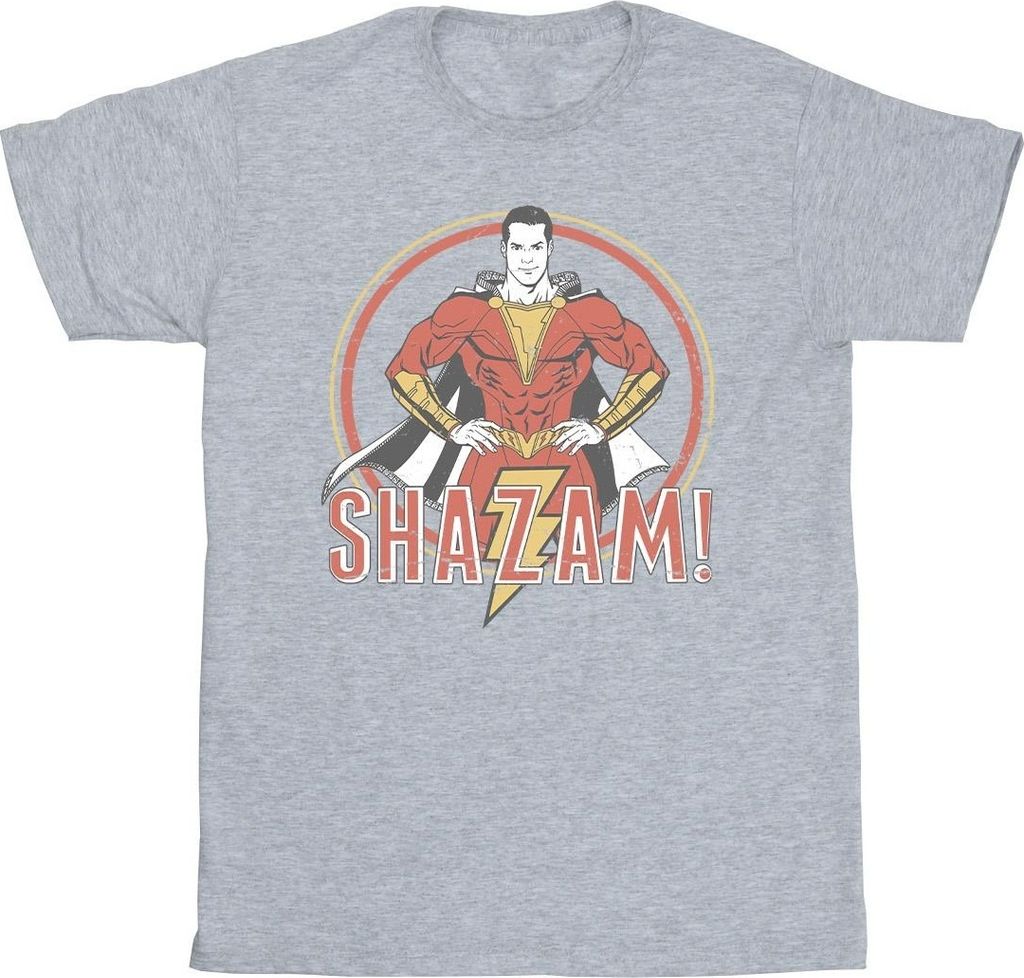 DC Comics - T-Shirt für Herren BI45304 (S) (Grau) Produktbild 
