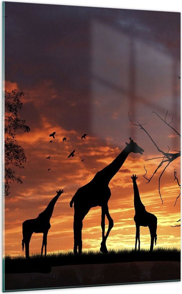 Bilder auf glas - Einteilig - Giraffe Afrika Sonne Safari - 70x100cm - Glasbilder - Wandbilder - Bilder - Wanddekoration aus Glas - Glas Bilder - W...
