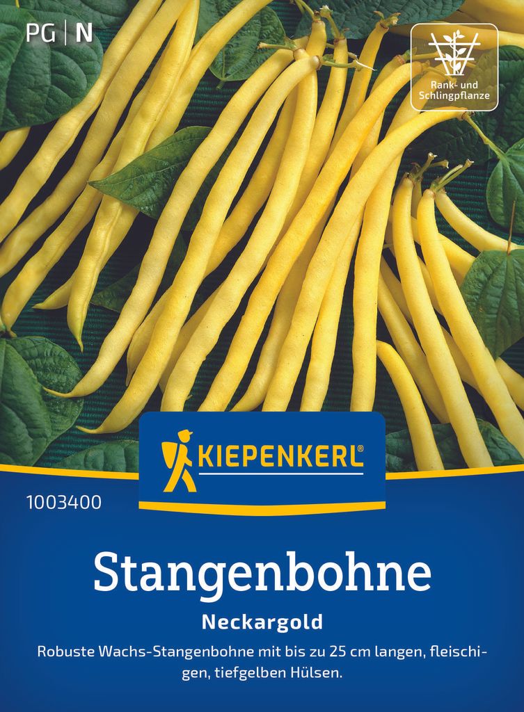 Kiepenkerl - Stangenbohne Neckargold Samen - 1003400