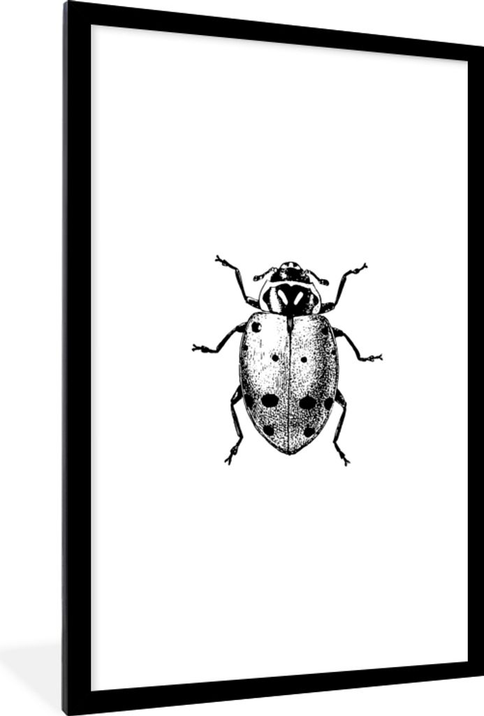 MuchoWow Gerahmtes Poster Vintage - Marienkäfer - Insekten - Schwarz und weiß 60x90 cm - Poster mit Schwarzem Bilderrahmen Wandposter Rahmen Fo...