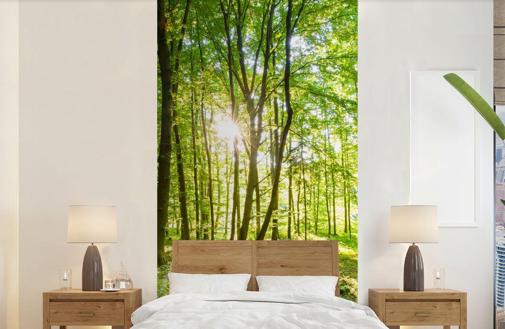 MuchoWow Fototapete für Wohnzimmer oder Schlafzimmer Wandtapete Vinyl Motivtapete Natur - Bäume - Wald - Grün - Sonnenlicht - 120x240 cm - Hin...