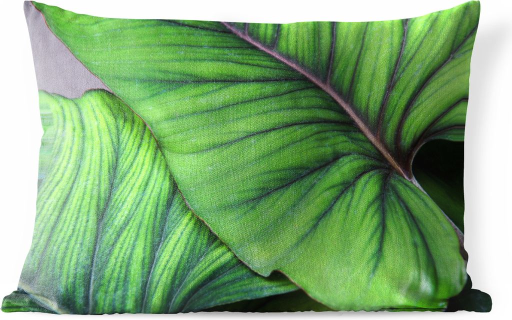 MuchoWow Outdoor Kissen - Foto von großen tropischen botanischen Blättern - 60x40 cm - Wetterfest - Lounge Kissen - Zierkissen - Kissen für In...