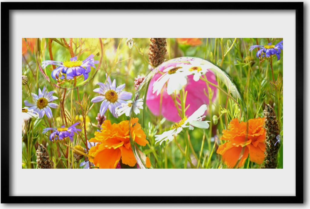 Bild 60x40 MDF-Rahmen Wandkunst Blumen Pflanzen Natur