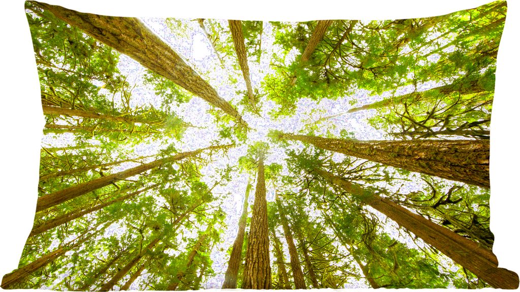 MuchoWow Zierkissen Sofakissen Wohnzimmer Dekokissen 60x40 cm Hohe grüne Bäume im Dschungel - Kopfkissen - Polster mit Foto
