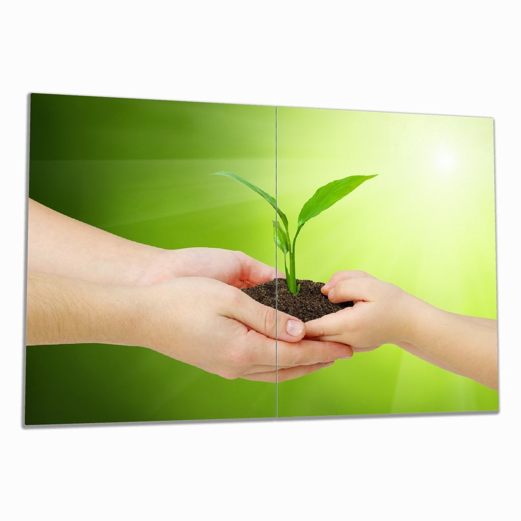 Wallario Herdabdeckplatte aus Glas, Größe 80 x 52 cm 2-teilig, Motiv Eine zarte Pflanze - von Hand zu Hand