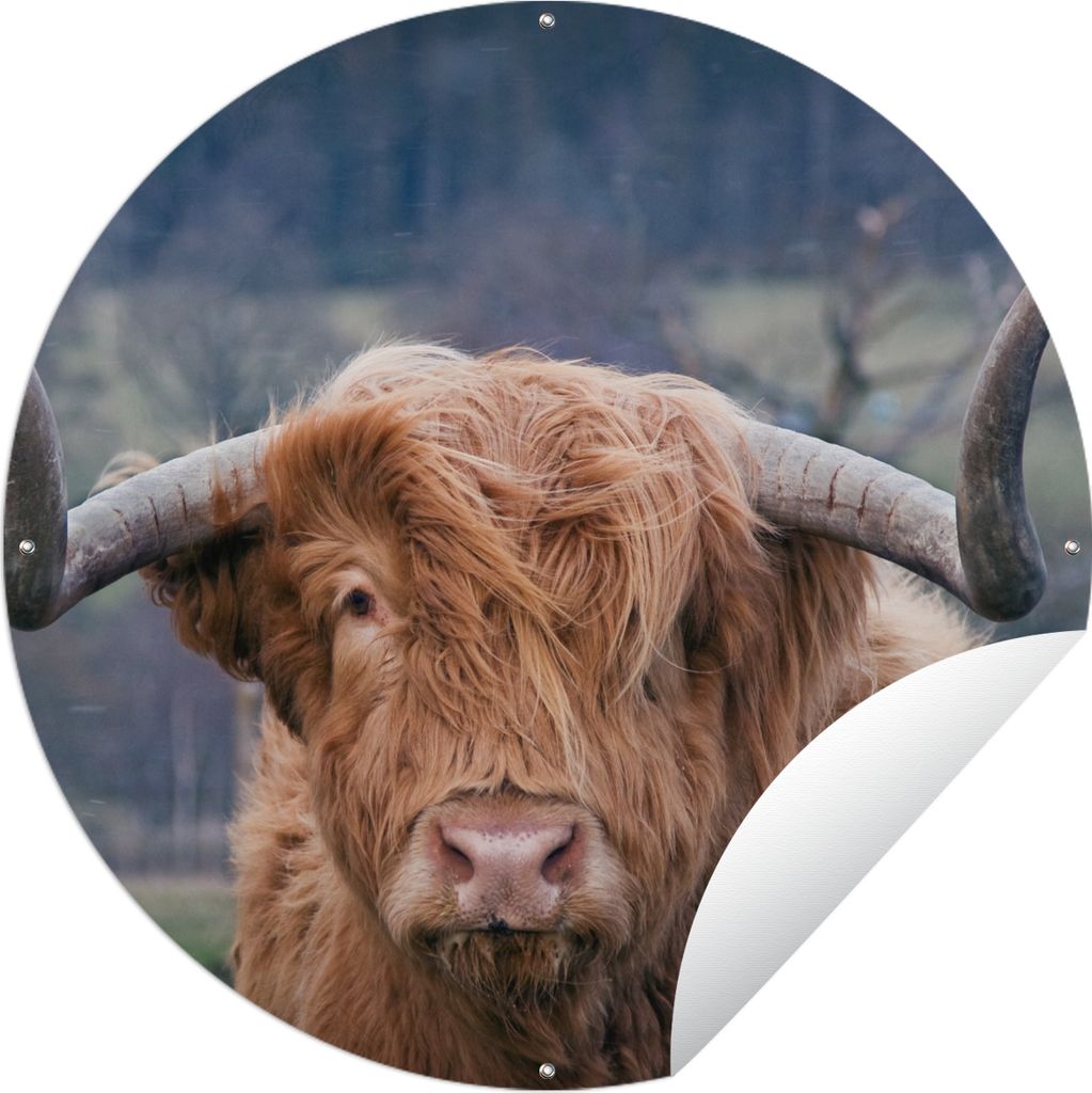 MuchoWow Gartenposter Outdoor-Poster Rund Schottischer Highlander - Hörner - Berg Ø 90 cm Gartendeko Rundes Poster draußen