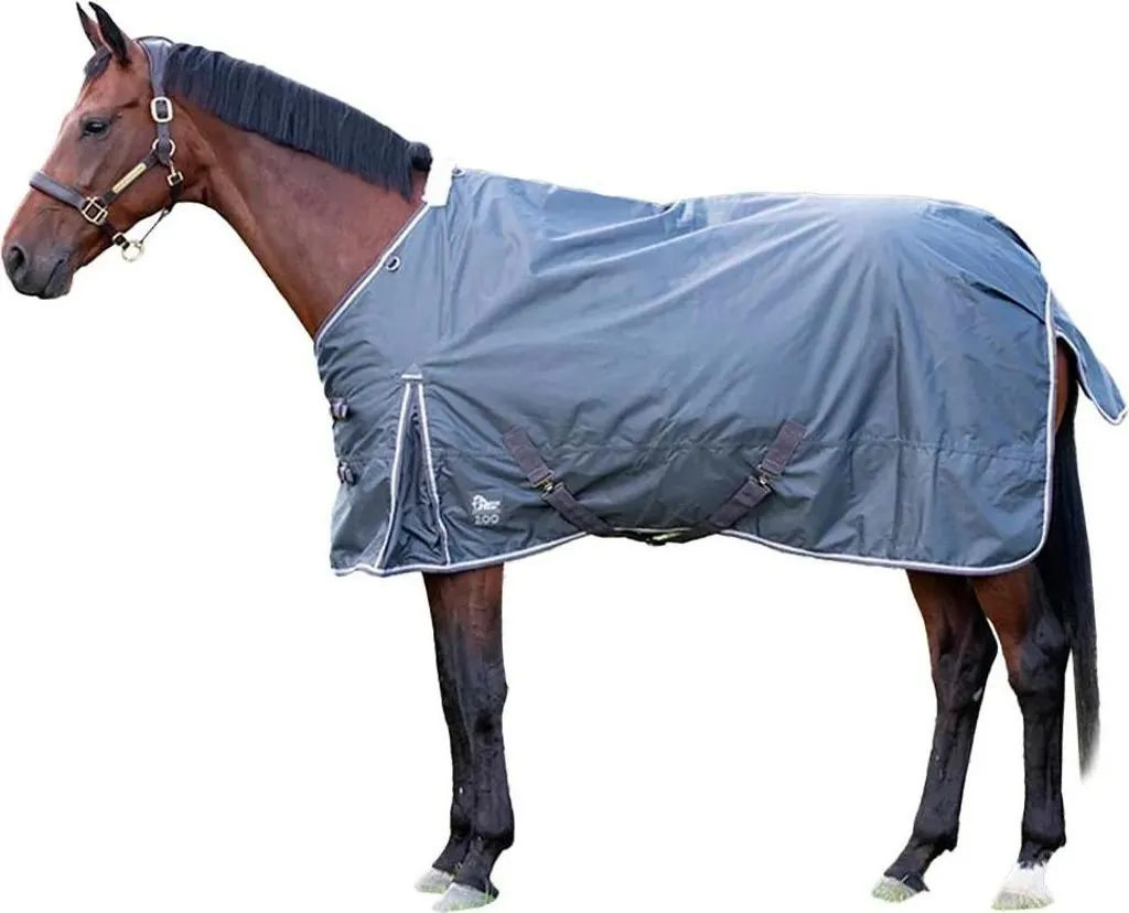 Coperta da Esterno Harry's Horse Thor 100g Blu | 145 cm Antistrappo