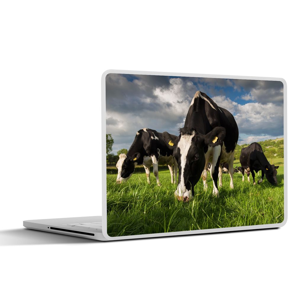 MuchoWow Laptop Aufkleber Sticker Cover Kühe - Tiere - Gras - Wiese - Bauernhof 40x30 cm - Laptop Dekoration - Selbstklebend