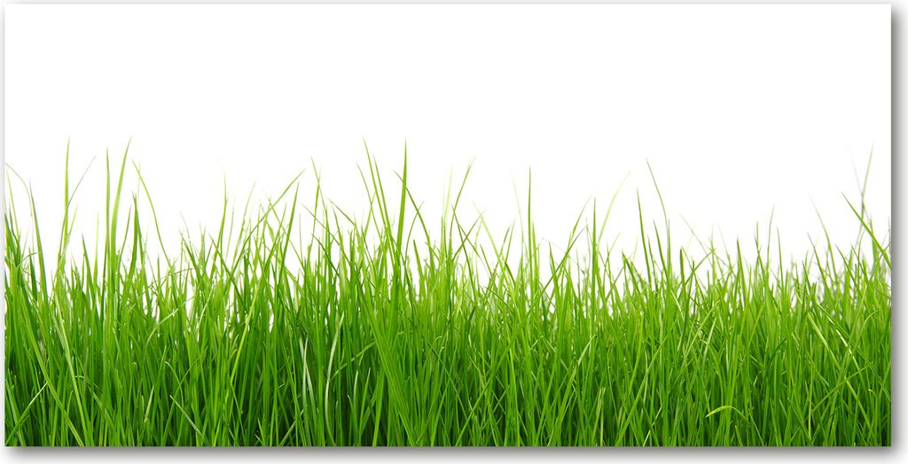 Tulup Küchenrückwand Spritzschutz aus Glas -100x50 -Spritzschutz auf gehärtetes GlasDeko Blumen & Pflanzen Gras