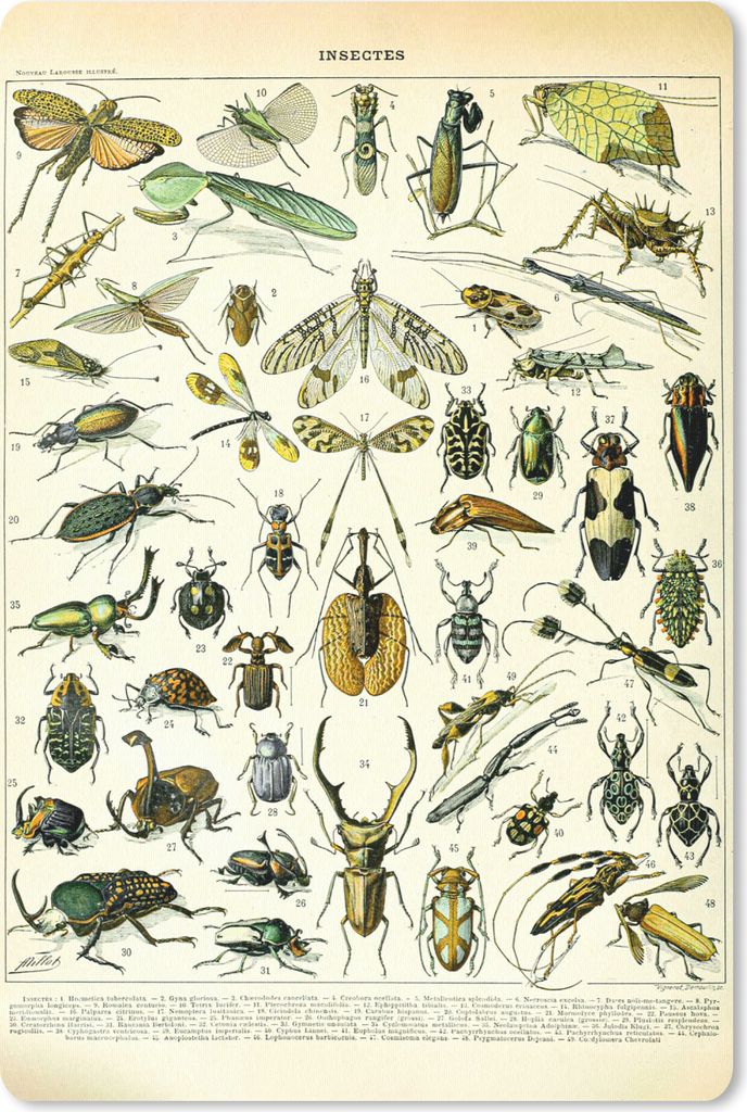 MuchoWow Mauspad Mousepad Insekten - Tiere - Gestaltung 18x27 cm - Mousepads - Maus Mat - Pad - Mausunterlage