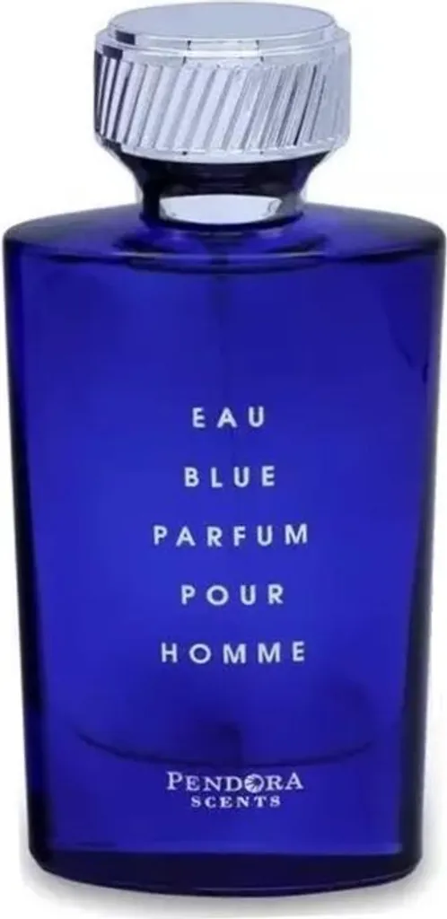Eau Blue Parfum Homme 100ml - Eau de Parfum Spray Anti-Affadissement