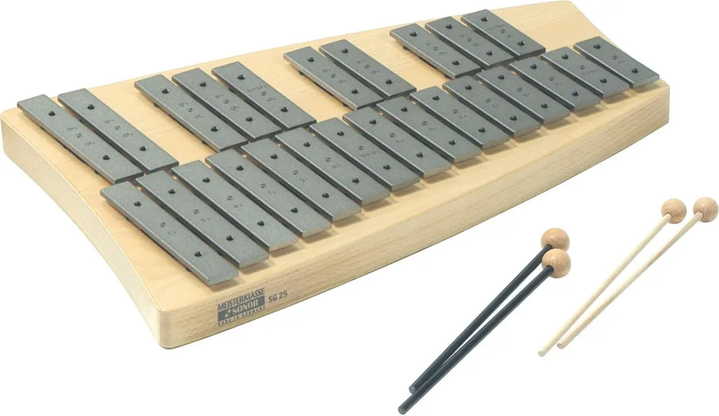 Instrument de Musique Sonor SG 25 Idéal pour Éveil et Écoles de Musique