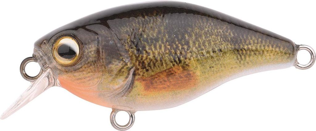 Spro Predator Ikiru Mini Crank 38F SL SH Farbe Perch