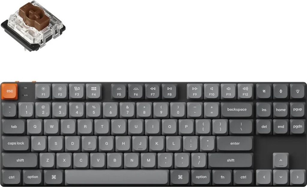 A keyboard and a keyboard switch are displayed against a white background.