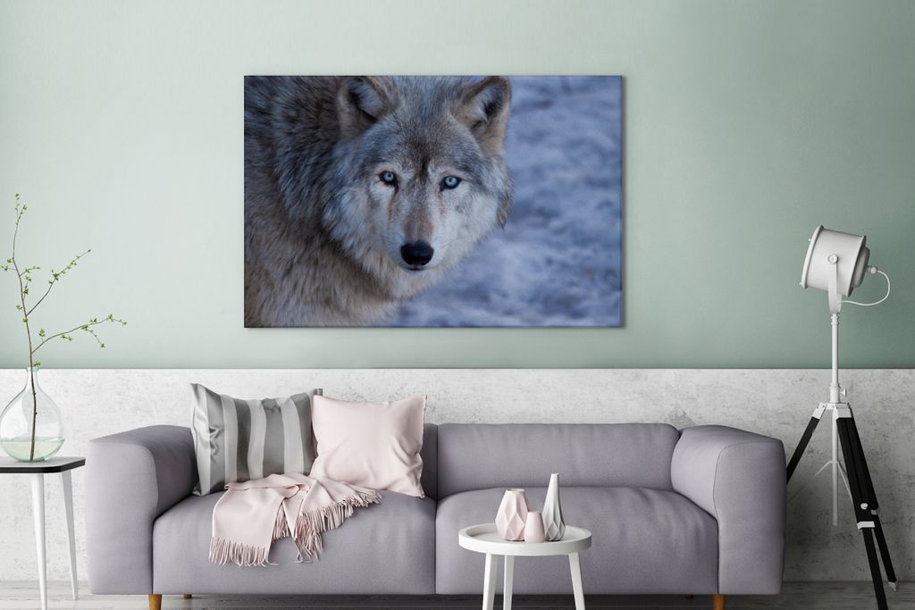 OneMillionCanvasses - Leinwandbilder - 140x90 cm, Kopf eines grauen Wolfes, Wandbilder Kunstdruck Wanddekoration