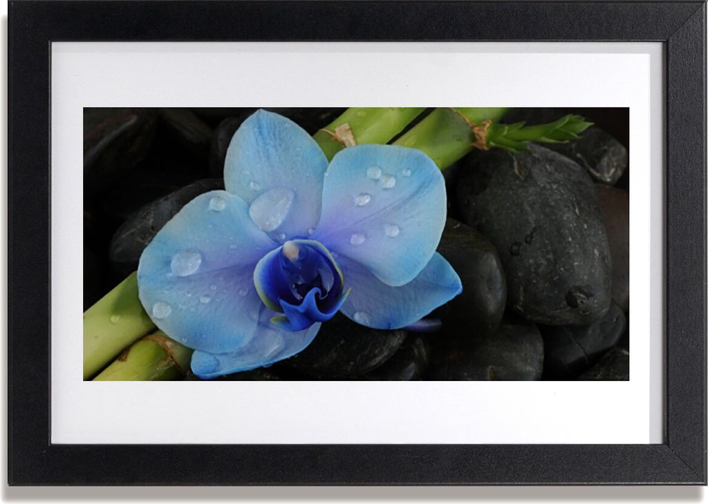 Bild 30x20 MDF-Rahmen Wandkunst Stein Blume Pflanze Produktbild 