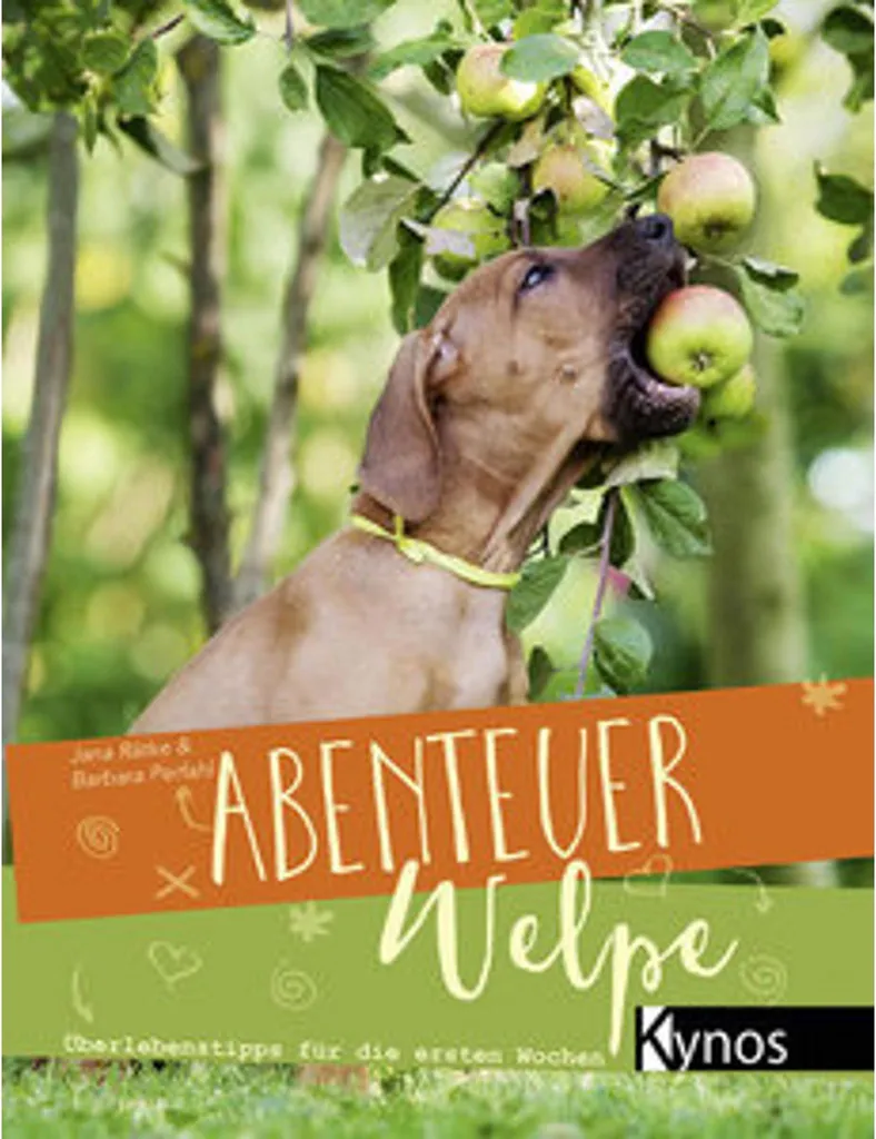 Jouet Interactif Chiot Abenteuer Welpe avec Distributeur de Friandises