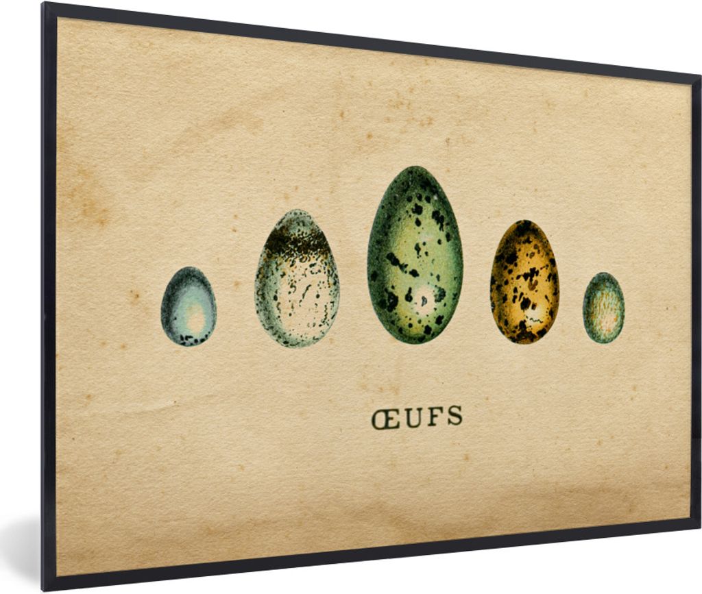 MuchoWow Gerahmtes Poster Eier - Tiere - Design 90x60 cm - Poster mit Schwarzem Bilderrahmen Wandposter Rahmen Foto Bilder - Fotorahmen - Foto-Pl...
