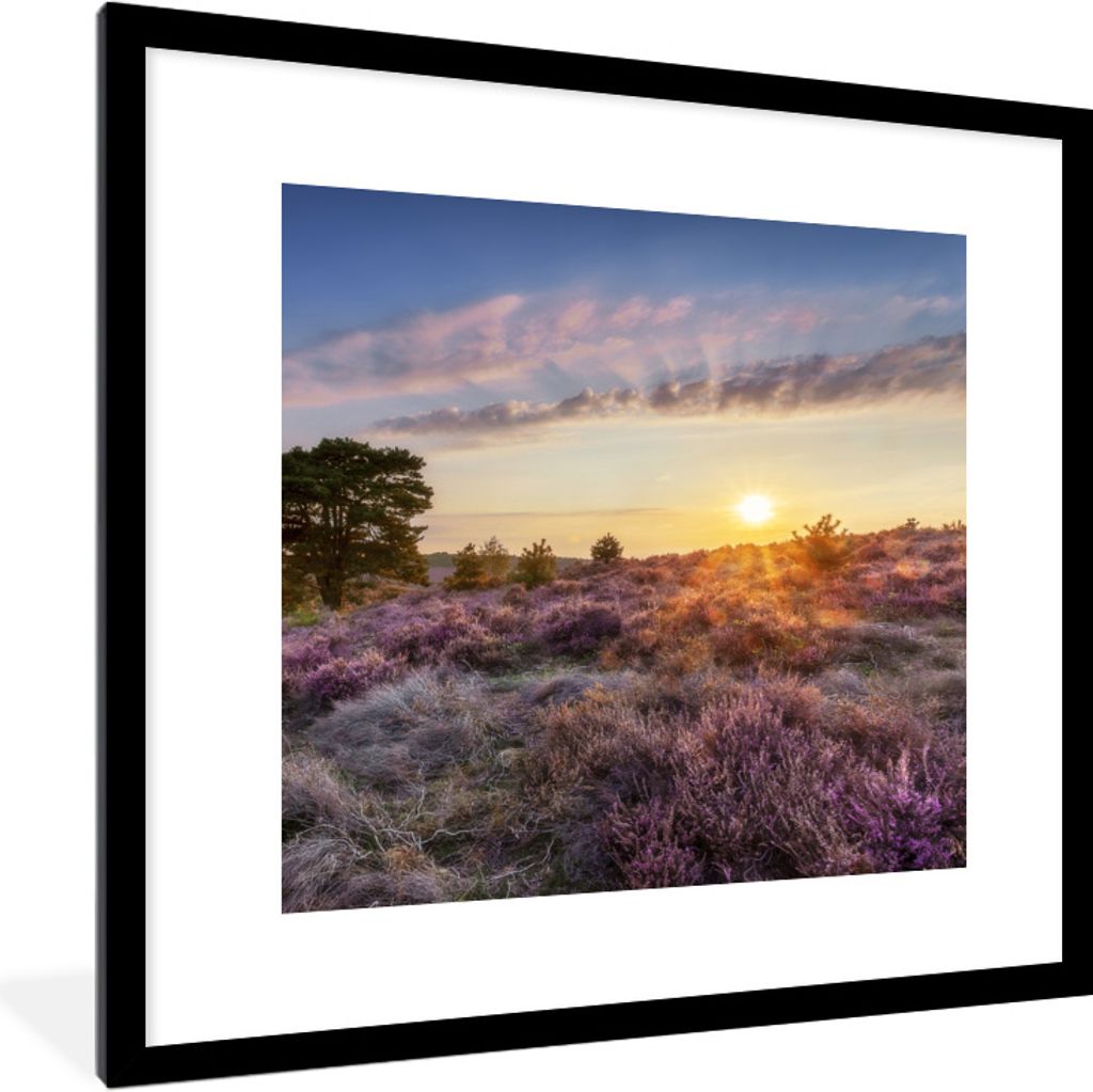 MuchoWow Gerahmtes Poster Heide bei Sonnenuntergang 40x40 cm - Poster mit Schwarzem Bilderrahmen Wandposter Rahmen Foto Bilder - Poster - Plakat ...