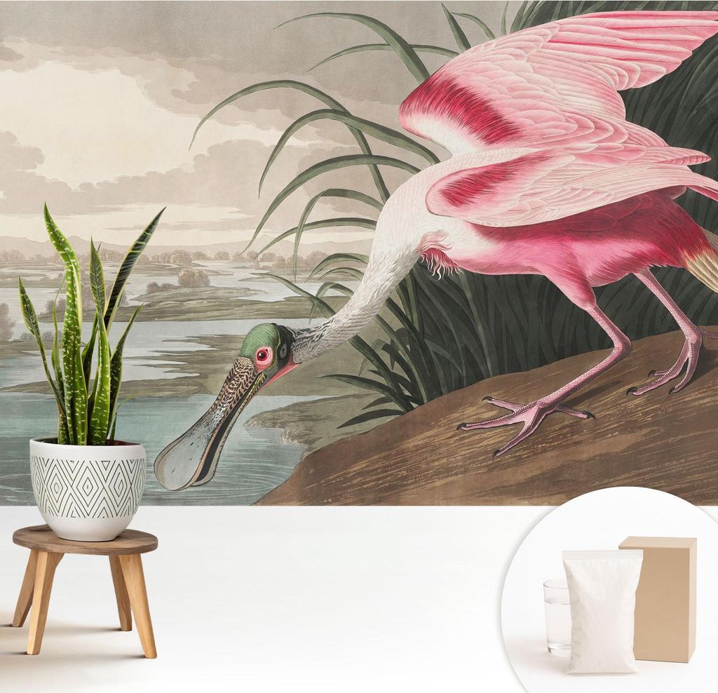 Fototapete - 208x146 cm - Tapete - Wandtapete - Wandbilder - Dekofolie - Tapete Folie - Wand - Dekoration - Wohnzimmer - Exotischer Vogel