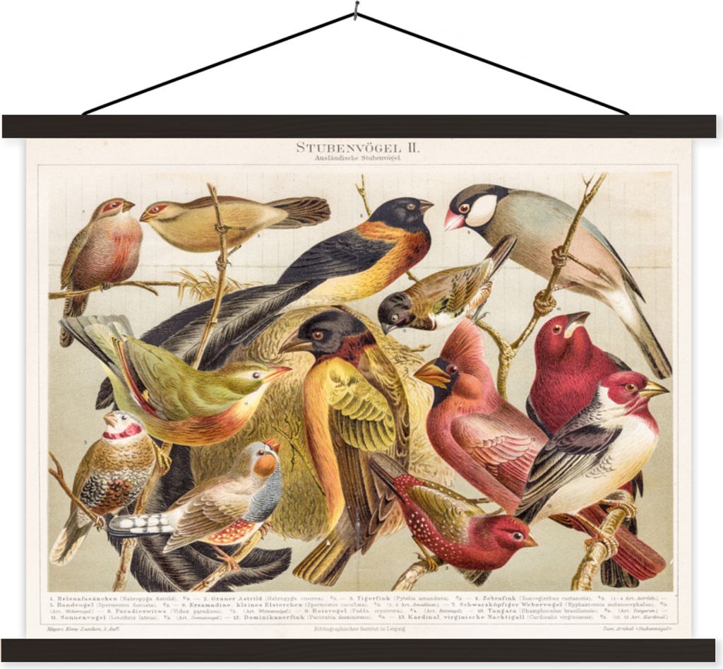 MuchoWow® Textilposter Vogel - Antik - Zeichnung 40x30 cm Produktbild 