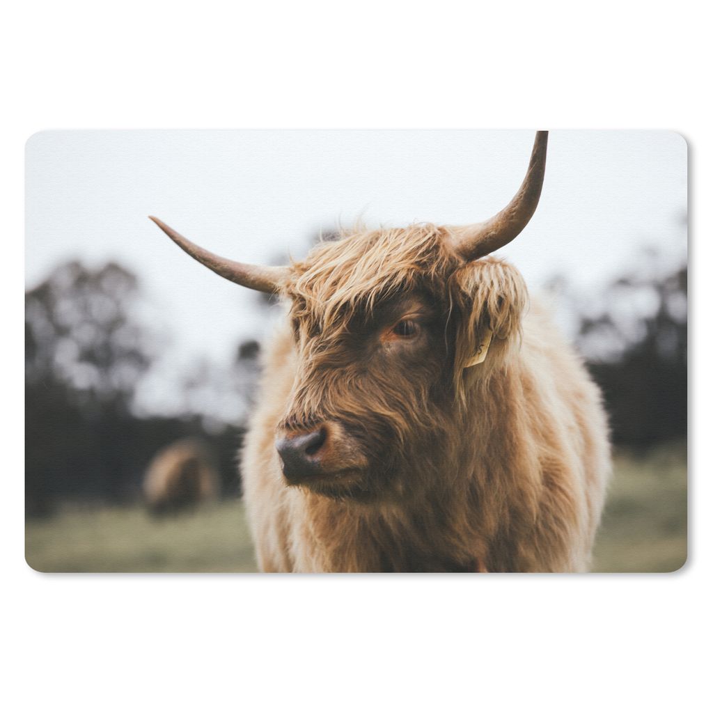 MuchoWow Mauspad Mousepad Schottischer Highlander - Tiere - Hörner 27x18 cm - Mousepads - Maus Mat - Pad - Mausunterlage - Büroartikel - Desk M...