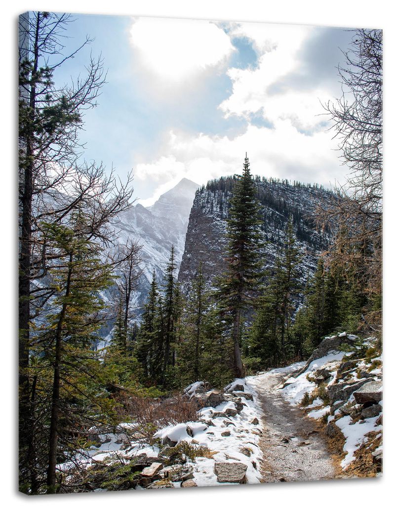 Leinwanddruck Natur Bergpfad Schnee 30x40