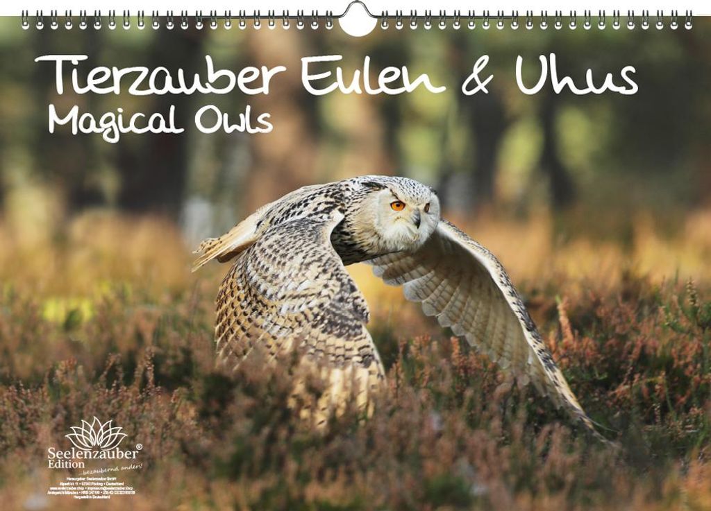 Eulenzauber Eulen und Uhus Immerwährender Kalender DIN A3 - Seelenzauber