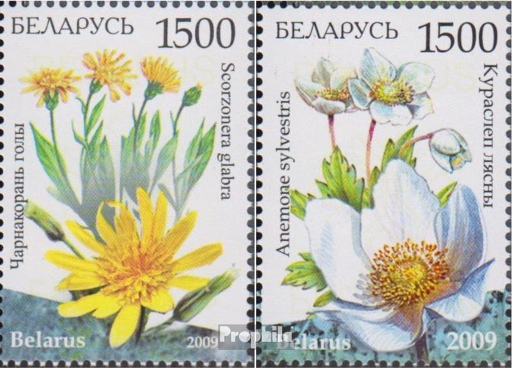 Briefmarken Weißrussland 2009 Mi 769-770 (kompl.Ausg.) postfrisch Gefährdete Flora