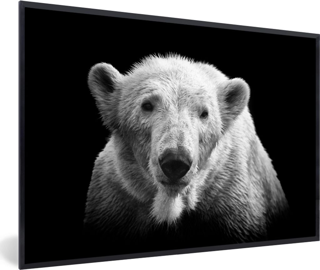 MuchoWow MuchoWow Gerahmtes Poster Eisbär - Tier - Schwarz - Weiß 30x20 cm - Poster mit zchwarzem Bilderrahmen - Kunstdruck - Bild-Poster