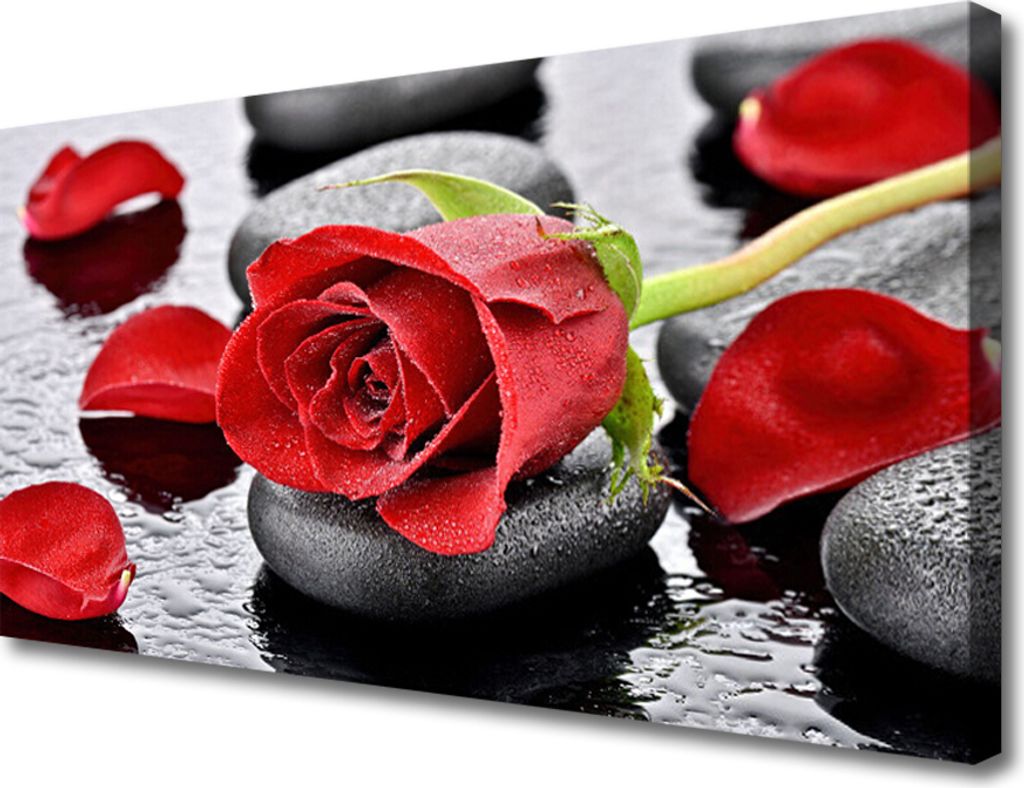 Tulup Leinwand-Bilder 100x50 Wandbild Canvas Kunstdruck Rose Steine Pflanzen
