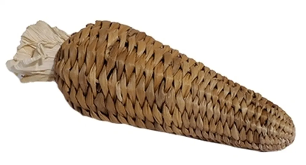 Carotte farcie à la feuille de bananier - Friandise saine pour dents rongeur
