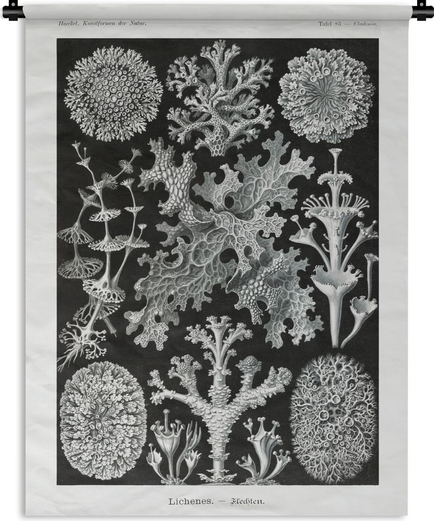 MuchoWow Wandteppich Wandbehang Moos - Botanisch - Vintage - Schwarz und weiß - Pilz Illustration 90x120 cm Tapisserie Dekoration Wandtuch - Wan...