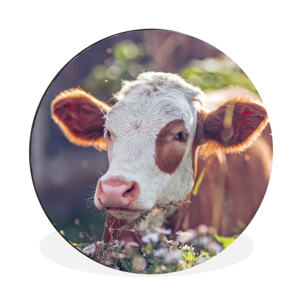 MuchoWow Aluminium Wandkreis Kuh - Blumen - Licht Ø 60 cm Wanddeko Modern Wohnzimmer - Wand Kreis - Wandbild - Schlafzimmer - Aluminium Bild - K...