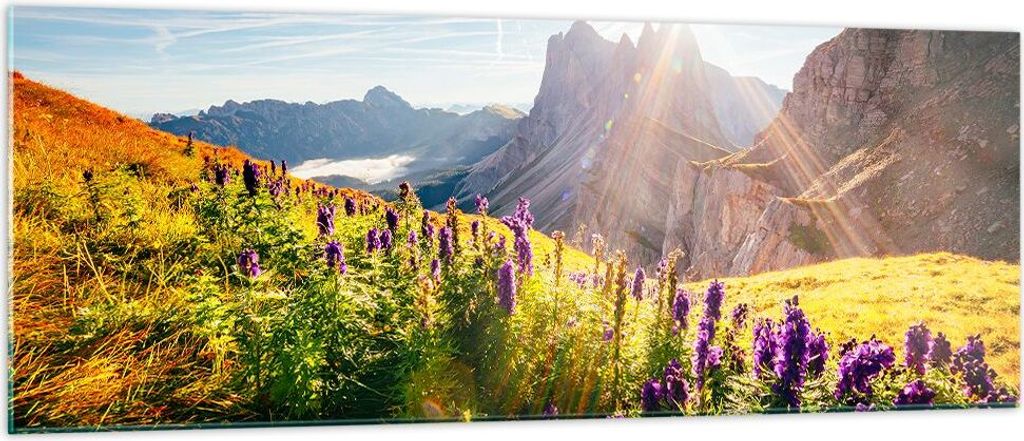 Bilder auf glas - Berge Wiese Blumen - 140x50cm - Glasbilder - Wandbilder - Kunstdruck - zum Aufhängen bereit - Wanddekoration aus Glas - Glas Bil...