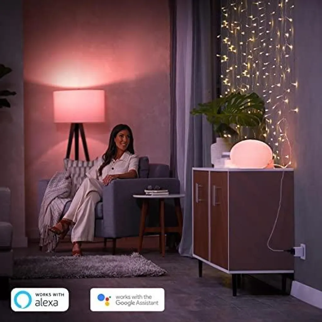 Philips Hue Smart Plug EU Prise Intelligente Blanche Zigbee Compacte - 14