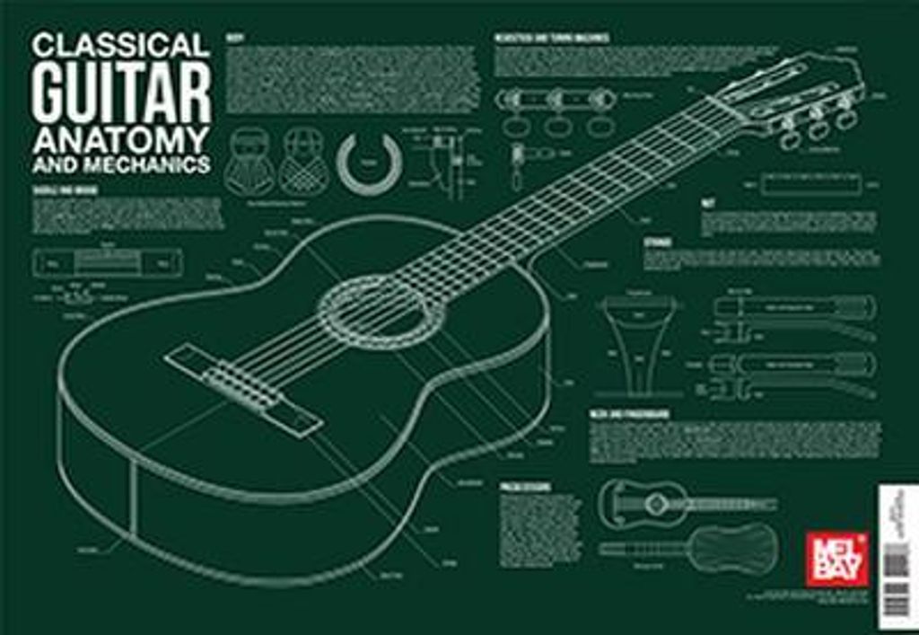Lee-Georgescu, C: CLASSICAL GUITAR ANATOMY & MEC