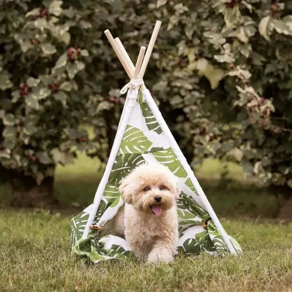 Hundezelt mit Kissen, Sonnenschutz für Hunde