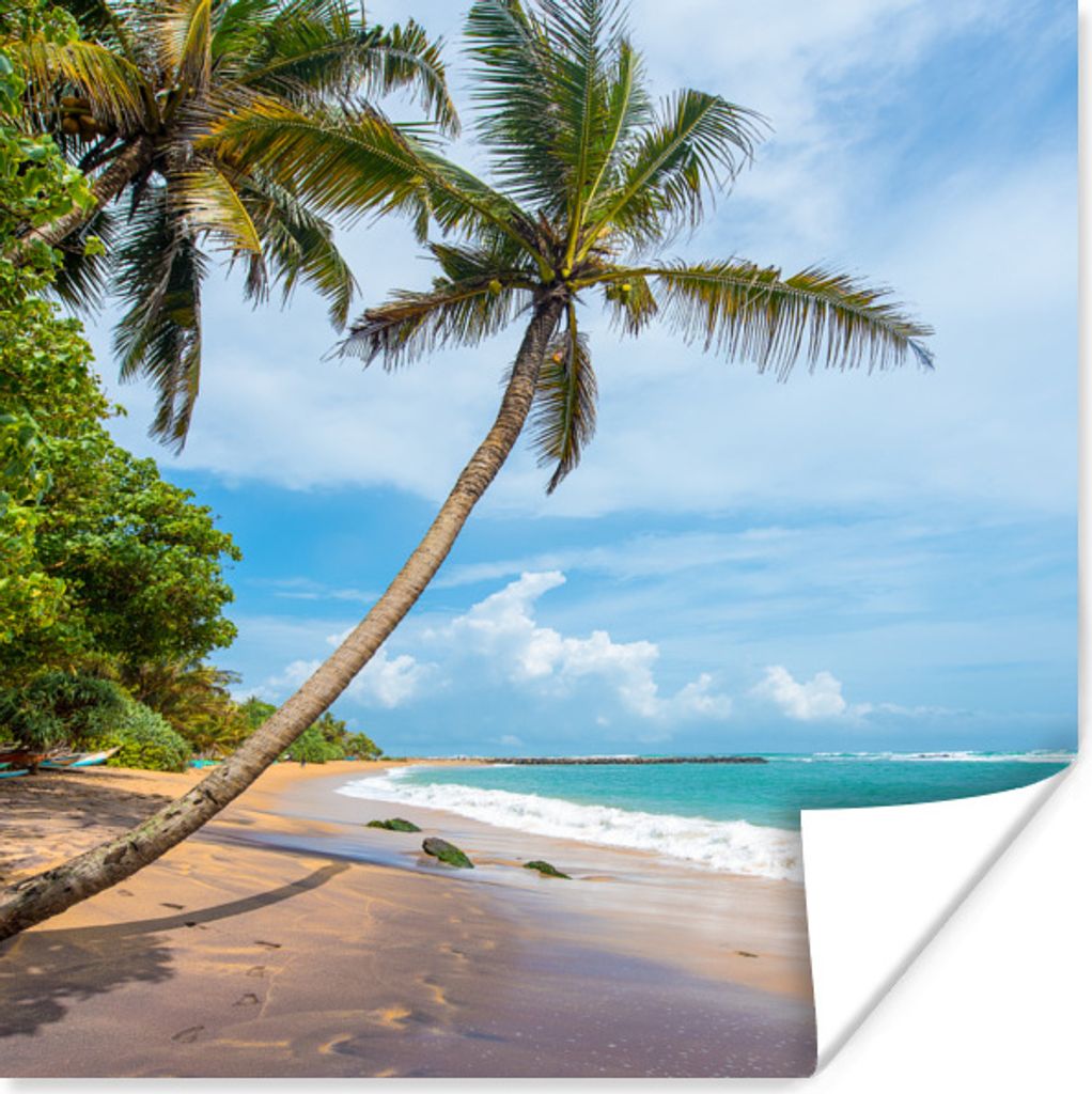 MuchoWow Poster Palme - Strand - Meer 50x50 cm - Wohnzimmerdekoration