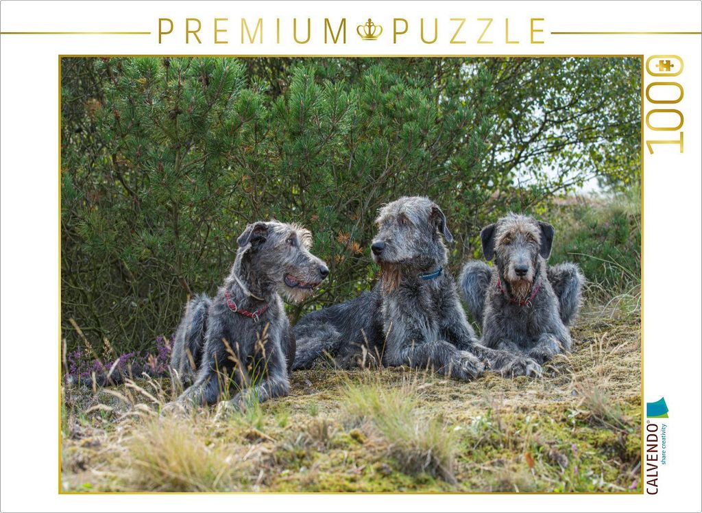 CALVENDO Puzzle Drei irische Wolfshunde liegen entspannt im Schatten einer Kiefer | 1000 Teile Lege-Größe 64x48cm Foto-Puzzle für glückliche St...
